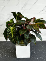 Mix Plant Arrangement