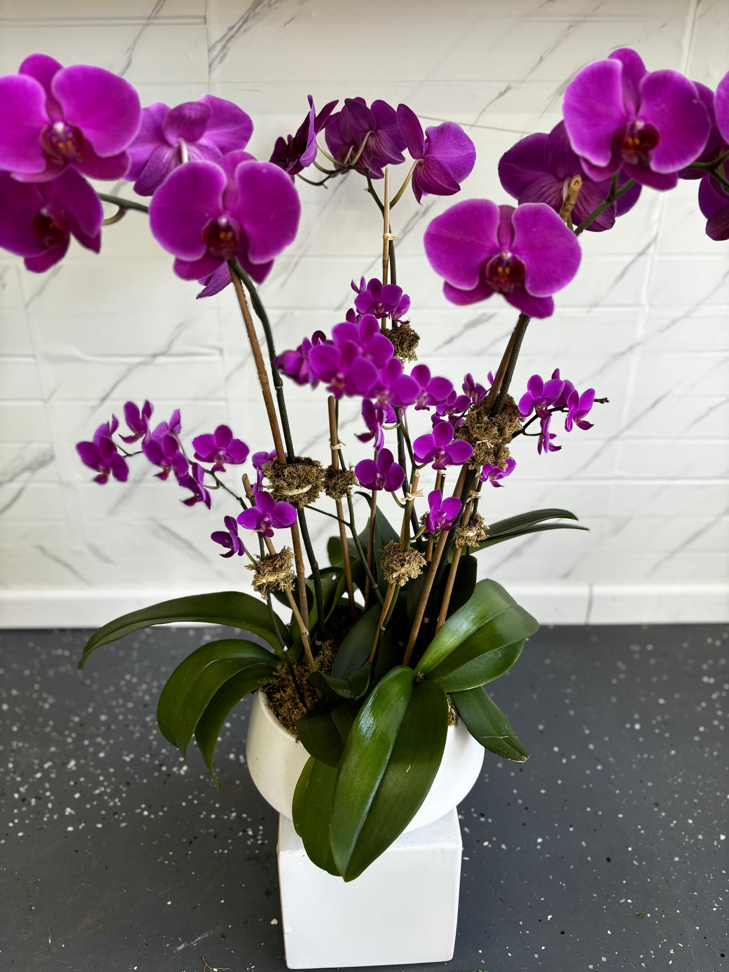 Purple Orchid Set (Large & Mini) w/ White round ceramic Planter